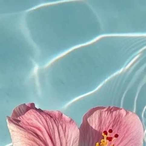 chat with ai character: Kageyama