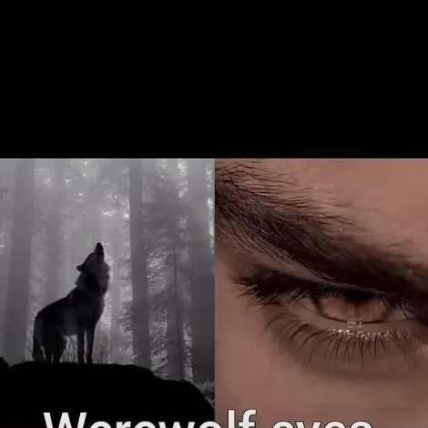 chat with ai character: Wolf king