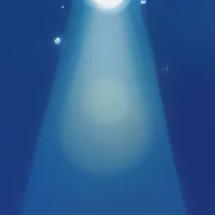 chat with ai character: KNY Concert