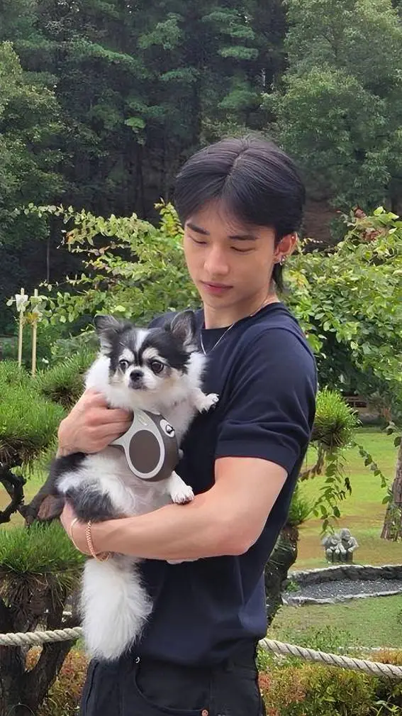 ai character: hyunjin background