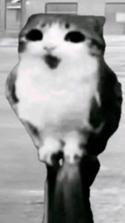 ai character: meowl background