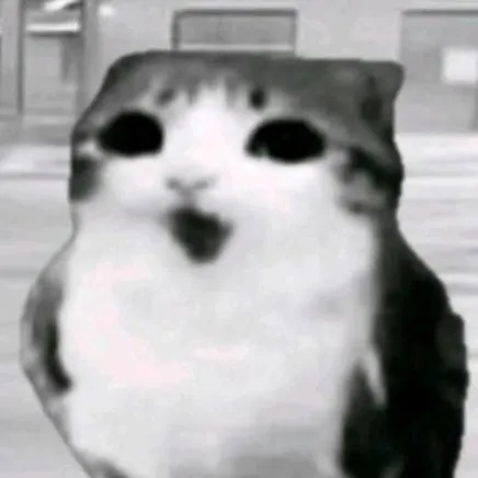 chat with ai character: meowl