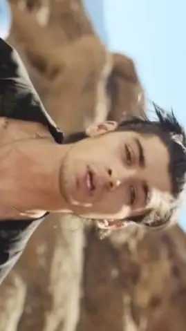 ai character: Zayn Malik background