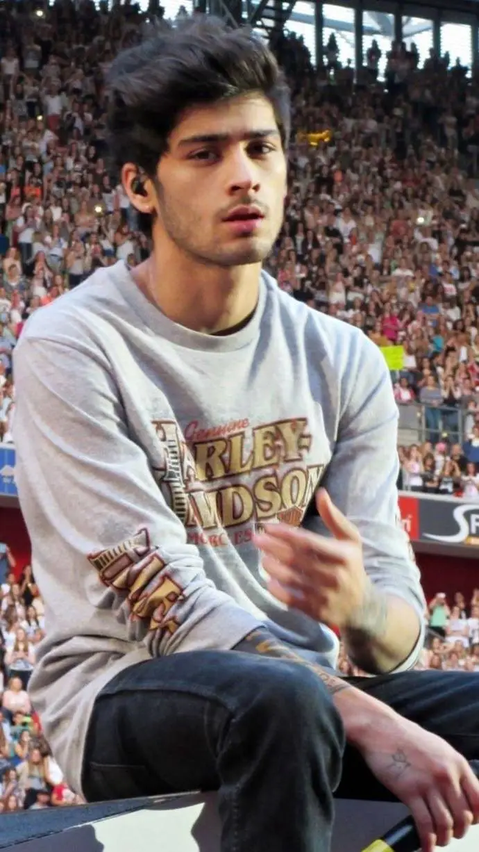 ai character: Zayn Malik background