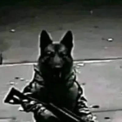 chat with ai character: Dog with gun