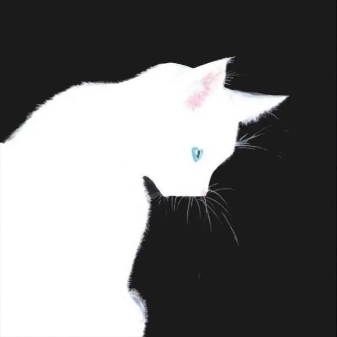 chat with ai character: 𝐀 𝐫𝐚𝐧𝐝𝐨𝐦 𝐭𝐚𝐥𝐤𝐢𝐞
