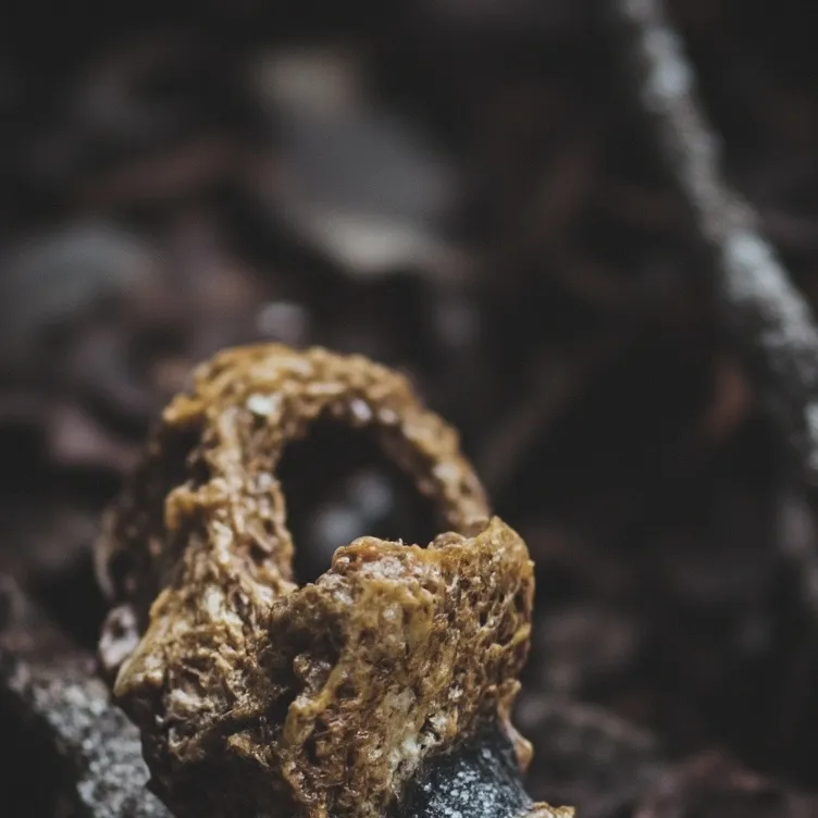 chat with ai character: . 