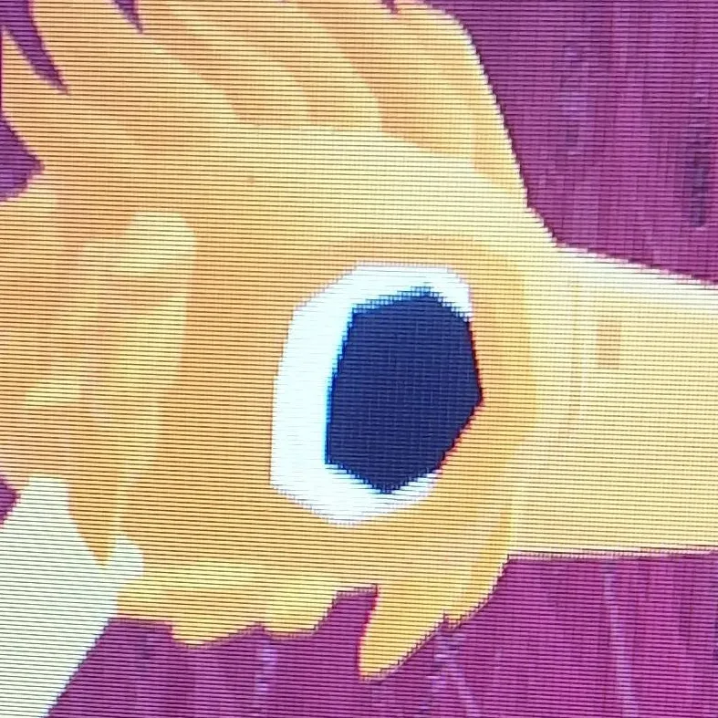 chat with ai character: Crazy birds !