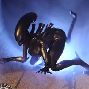 chat with ai character: Xyra