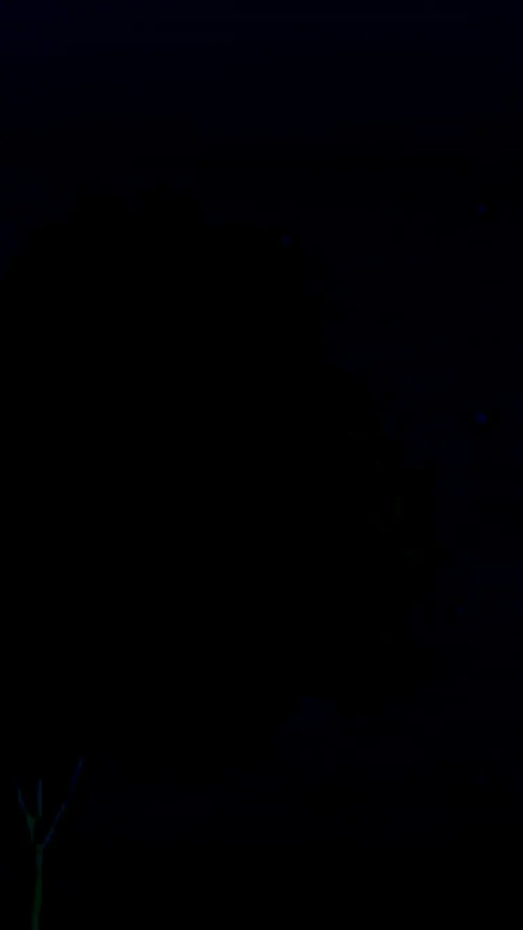 ai character: Y/N X CEO background