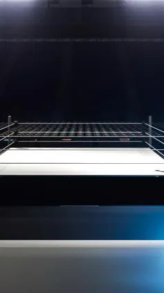 Talkie AI - Chat with WWE (RP) 
