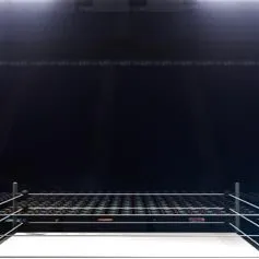 chat with ai character: WWE (RP) 