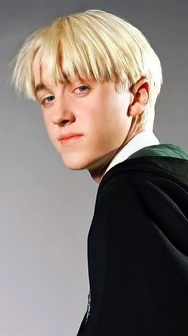 ai character: Draco X Y/N background