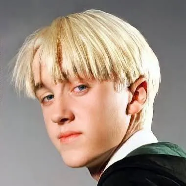 chat with ai character: Draco X Y/N
