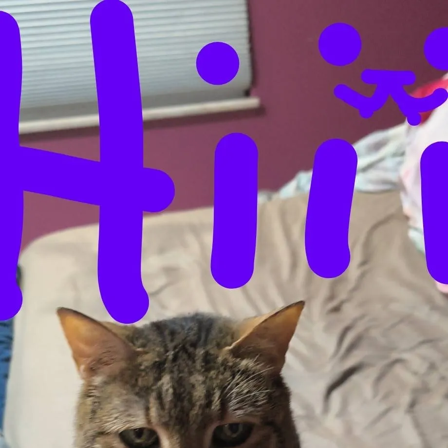 chat with ai character: 7 ds