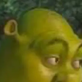 chat with ai character: Shrek 