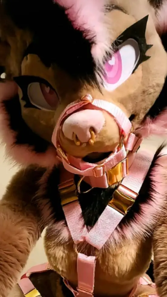 ai character: scp 1741 background