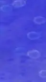 ai character: slime background