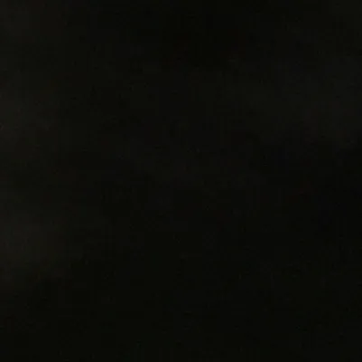 chat with ai character: Cat