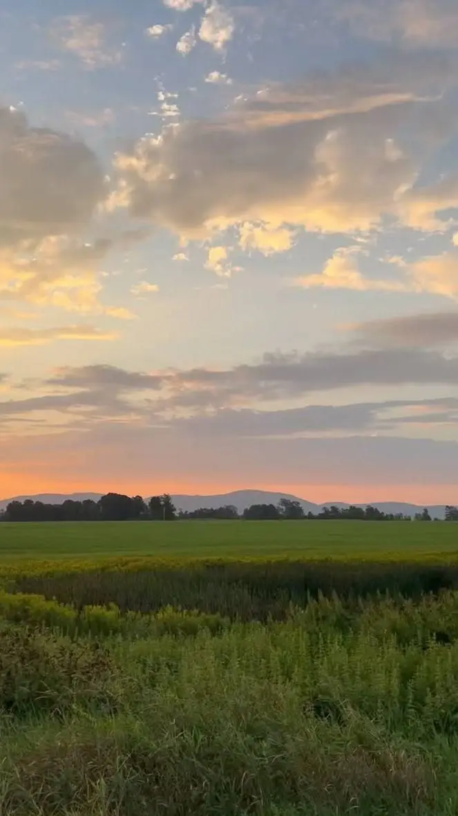 ai character: ur weird friend  background