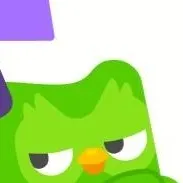 chat with ai character: Duolingo