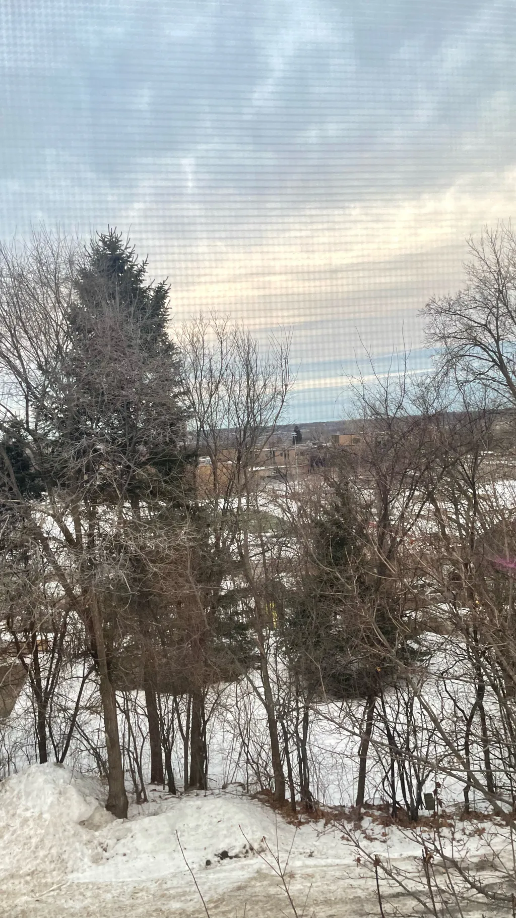 ai character: Megan background