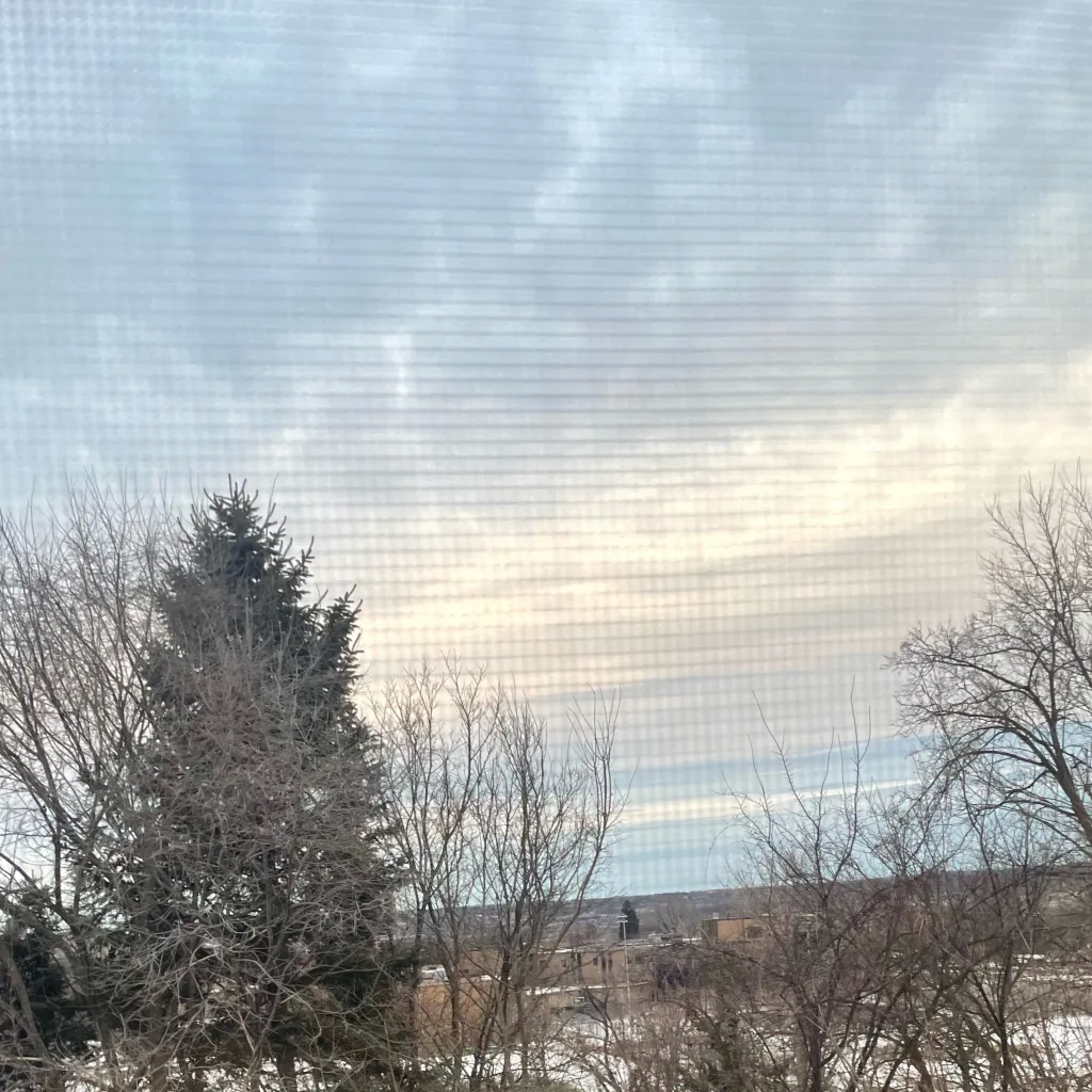 chat with ai character: Megan