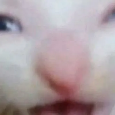 chat with ai character: I DUNNO-