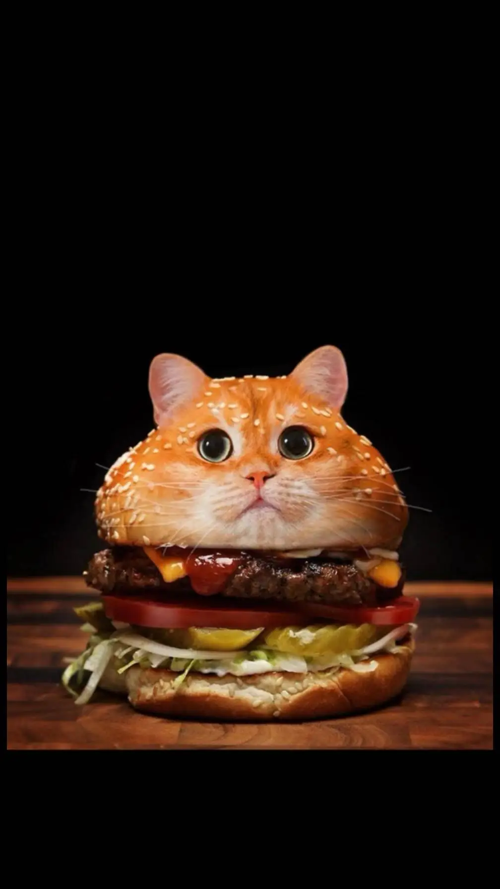 ai character: hamburger cat background