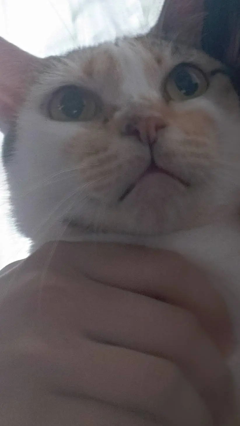 ai character: Frostbite FNF background