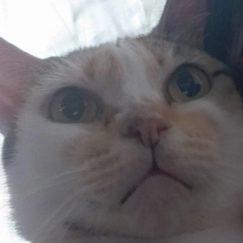 chat with ai character: Frostbite FNF