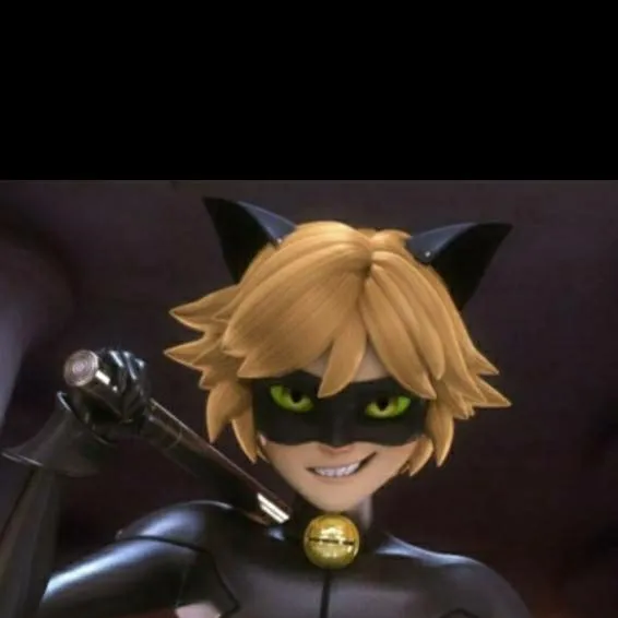 chat with ai character: cat noir