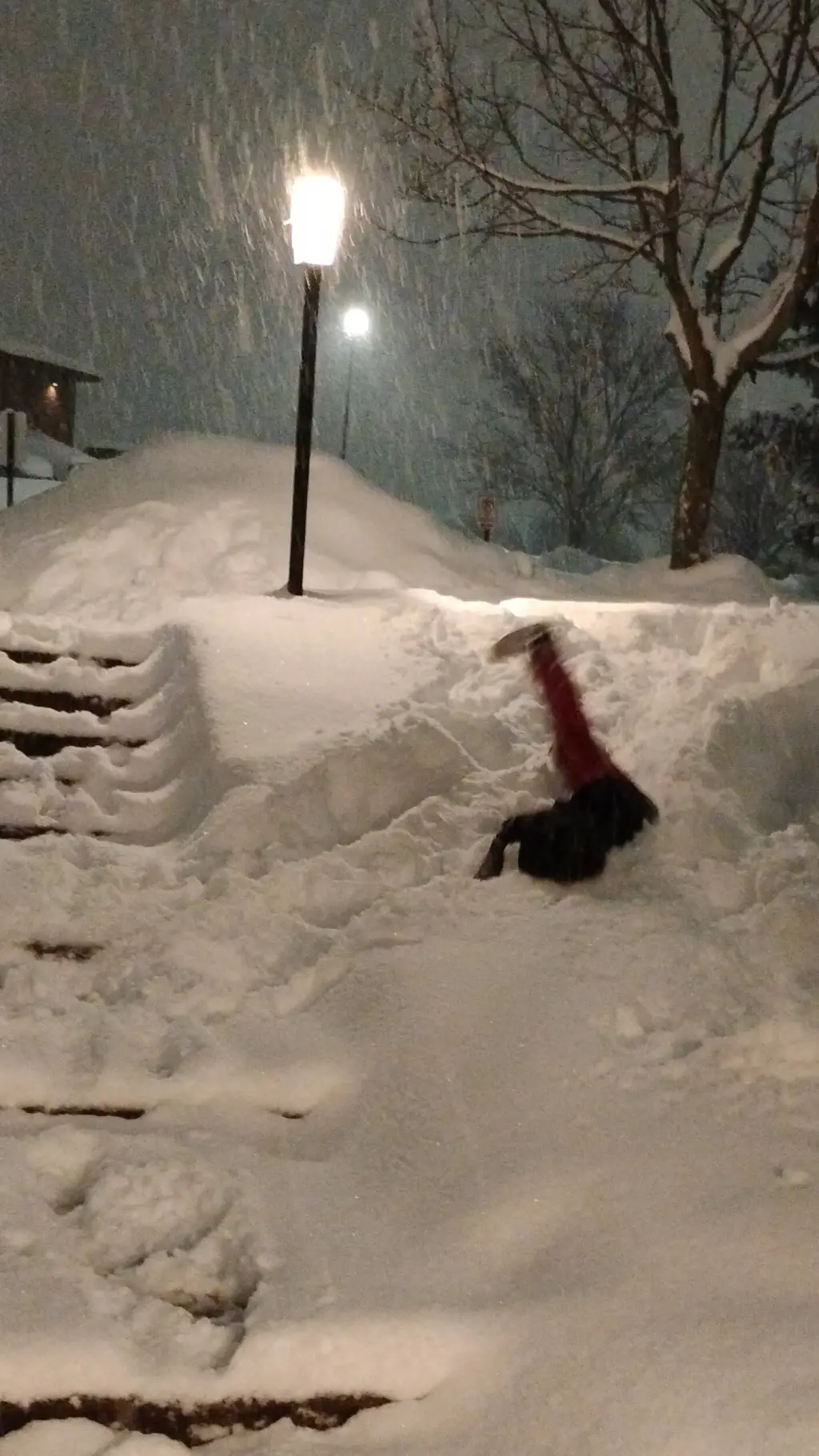 ai character: stranger things S5 background