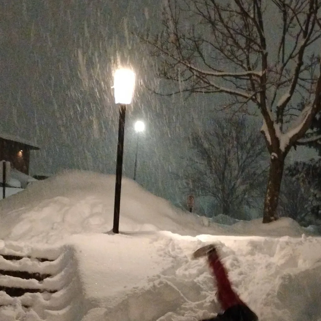 chat with ai character: stranger things S5