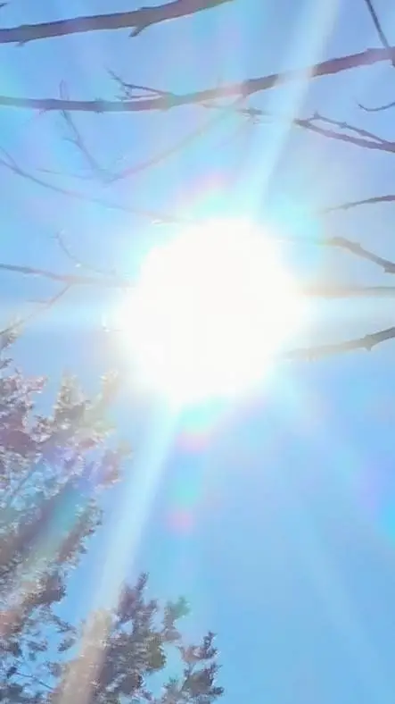 ai character: fanf background