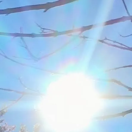 chat with ai character: fanf