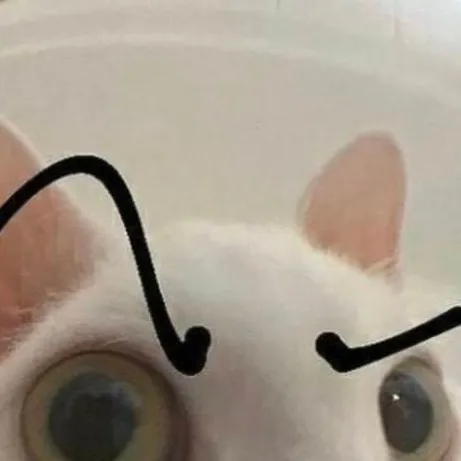 chat with ai character: hi