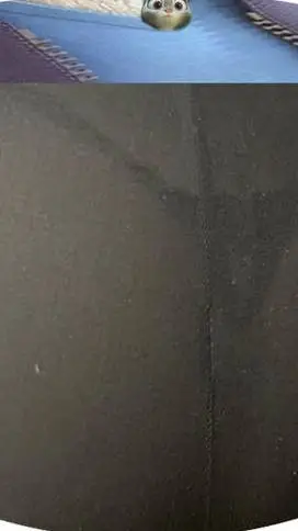 Talkie AI - Chat with Judy hoppy 