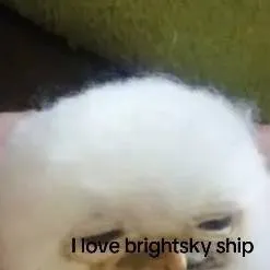 chat with ai character: Doing 1 thing