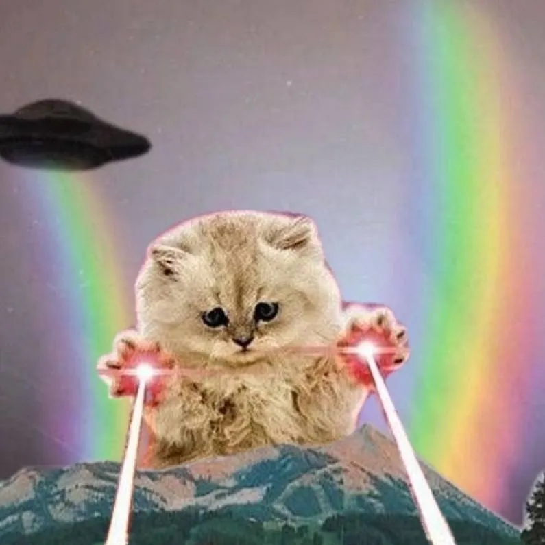 chat with ai character: KITTEN🥣🌈