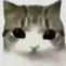 chat with ai character: Terronnva 