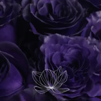 chat with ai character: ★Vilots Mission★