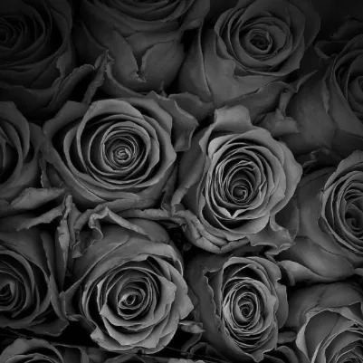 chat with ai character: ❈PAYCHECK✪