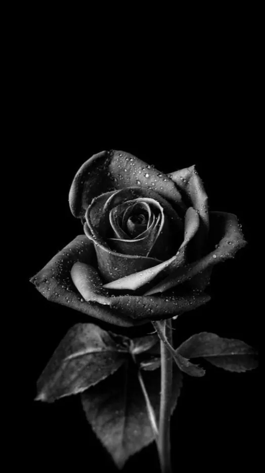 ai character: ⌦Paycheck⌫ background