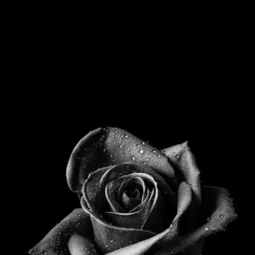 chat with ai character: ⌦Paycheck⌫