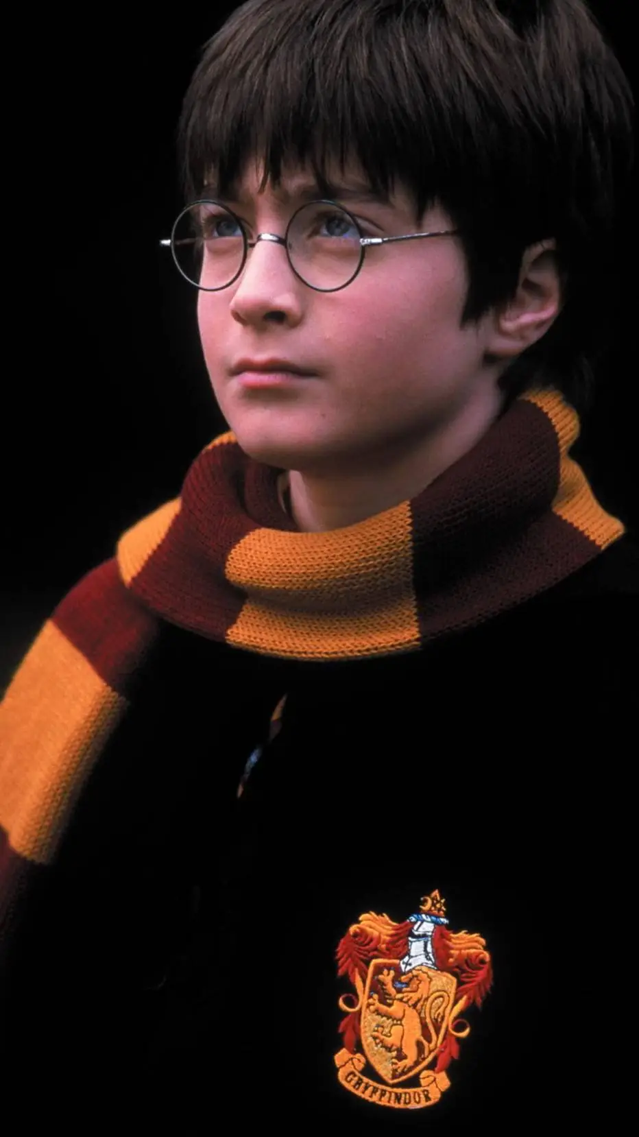 ai character: harry potter background