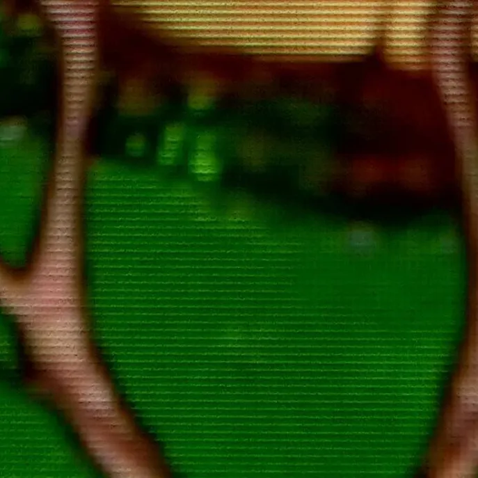 chat with ai character: wtf