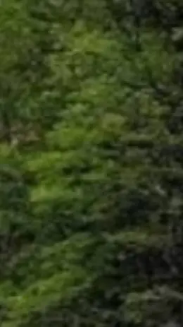 ai character: Car ride background