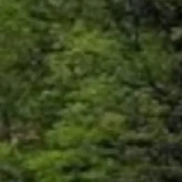 chat with ai character: Car ride