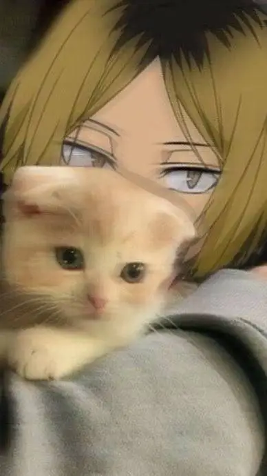 ai character: kenma kozume background